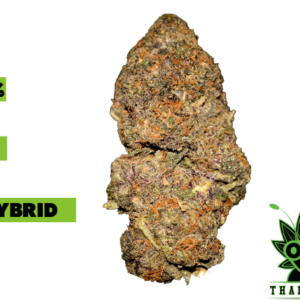 buy gelato 33 weed in thailand