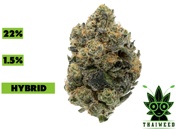 Thailand's Online Weed & Cannabis Shop | | High Thai Weed