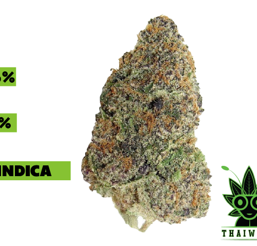 buy Ice Cream Cake weed in thailand