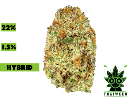 buy Oreoz weed in thailand