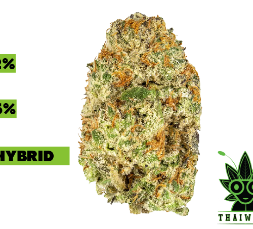 buy Oreoz weed in thailand