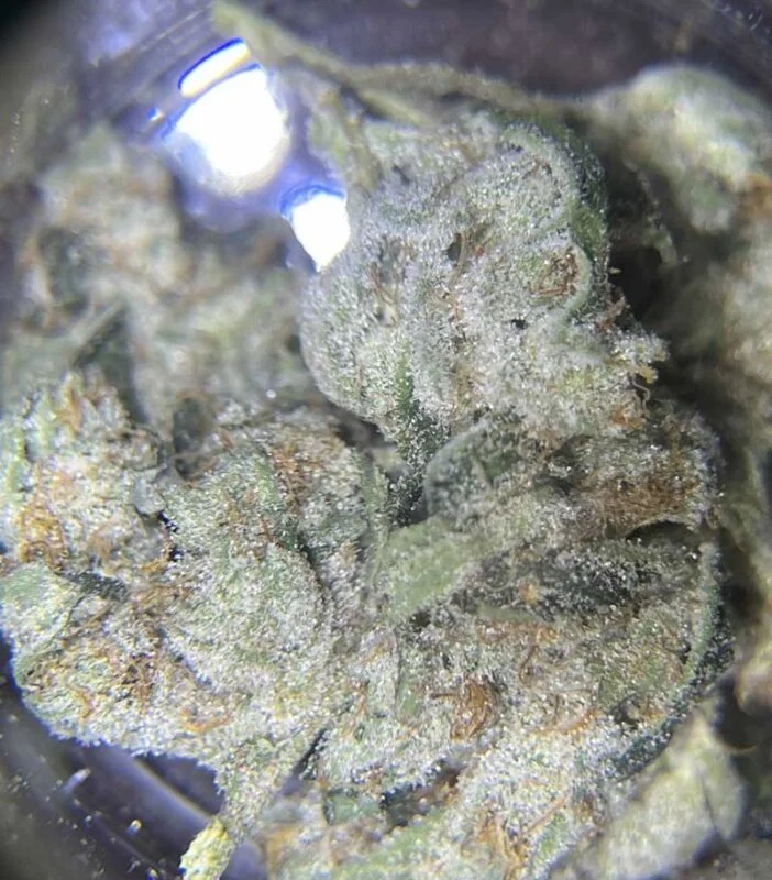Buy whitewidow Cannabis in thailand