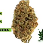 buy Baked Alien weed in thailand