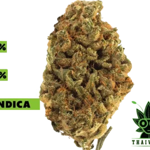 buy Baked Alien weed in thailand