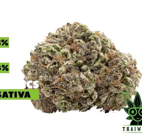 buy Disco Star weed in thailand
