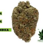 buy Dosi Punch in thailand