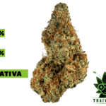 buy Galactic jack in thailand