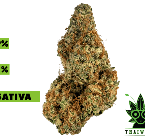 buy Galactic jack in thailand