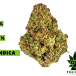 buy Lava Cake weed in thailand