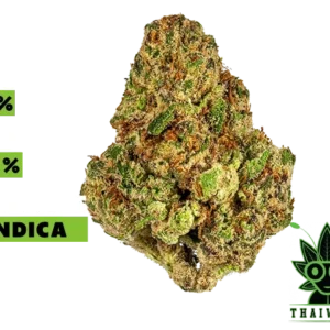 buy Lava Cake weed in thailand
