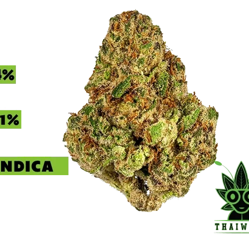 buy Lava Cake weed in thailand