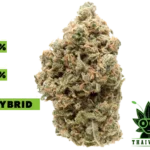 buy Mac 1 in thailand