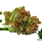 buy Sour Diesel weed in thailand