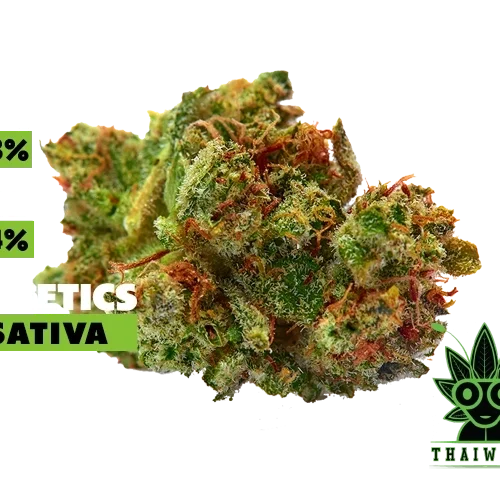 buy Sour Diesel weed in thailand