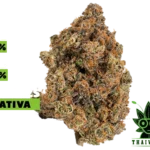 buy Sundae Driver weed in thailand