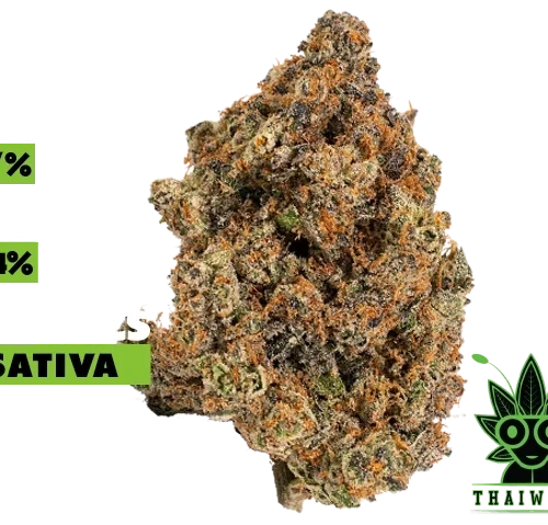 buy Sundae Driver weed in thailand