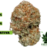 buy Super Sour Diesel weed in thailand