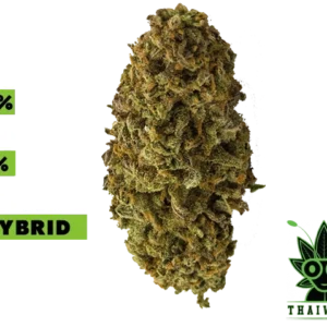 buy THC Bomb weed in thailand