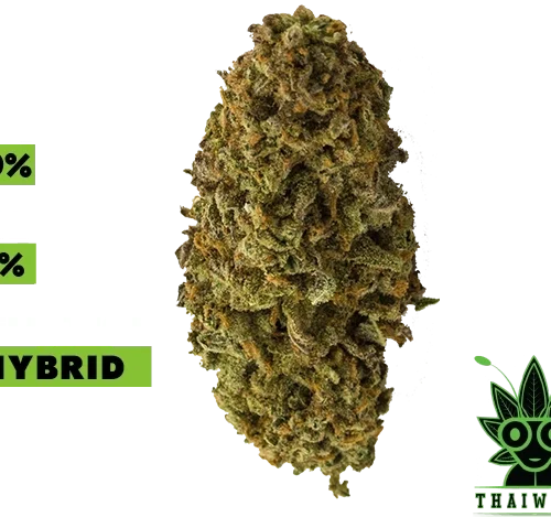 buy THC Bomb weed in thailand