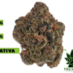 buy Cherry Dosidos weed in thailand