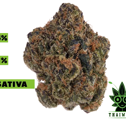 buy Cherry Dosidos weed in thailand