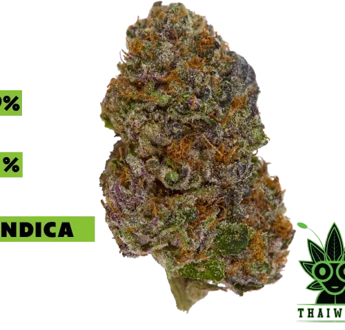 buy Friend with Benefit weed in thailand