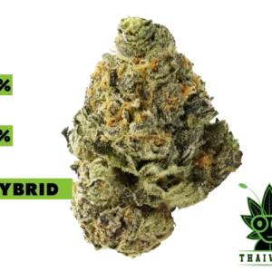 buy Garlic Star weed in thailand