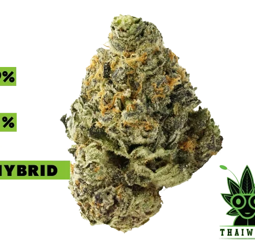 buy Garlic Star weed in thailand
