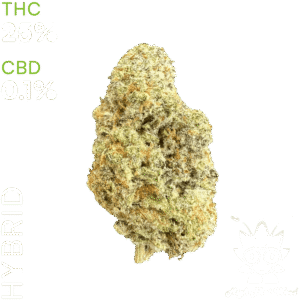 buy Alien OG weed in thailand