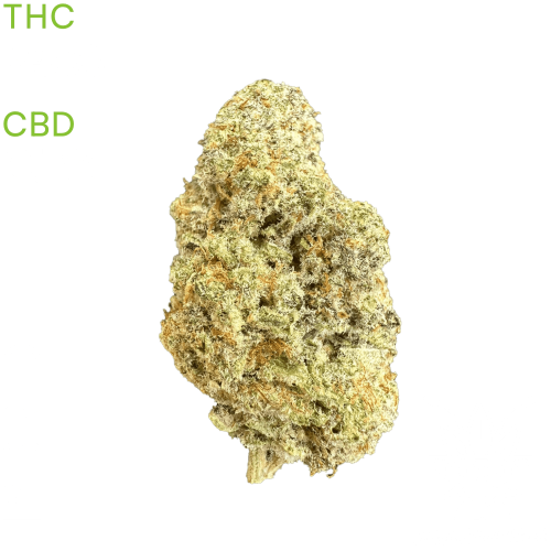 buy Alien OG weed in thailand