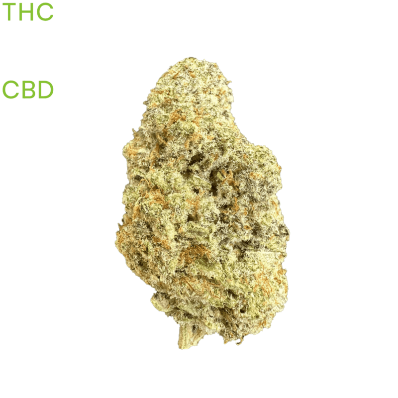 gelato-cannabis-dispensary-buy-online-fast-thai-weed