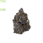 buy Black Truffle weed in thailandbuy Black Truffle weed in bangkok
