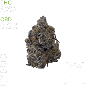 buy Black Truffle weed in thailandbuy Black Truffle weed in bangkok