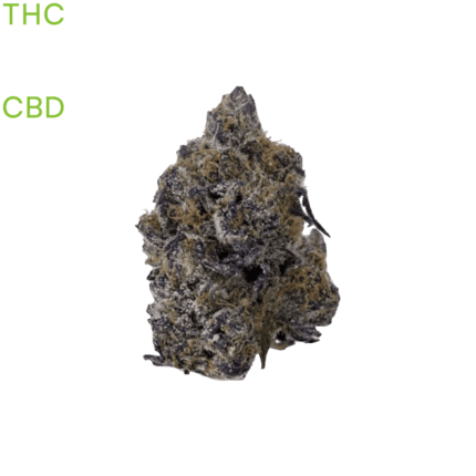 buy Black Truffle weed in thailandbuy Black Truffle weed in bangkok
