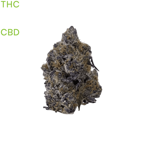 buy Black Truffle weed in thailandbuy Black Truffle weed in bangkok