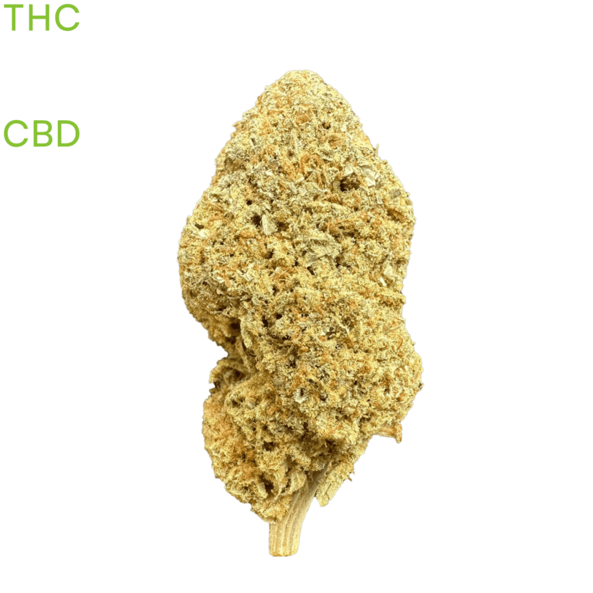 Blue Cheese cannabis dispensary buy Online & Fast Thai Weed