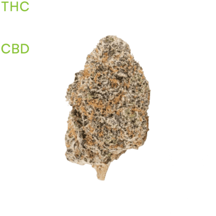 buy Gelato weed in bangkok
