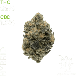 buy Girl Scout Cookies weed in bangkok