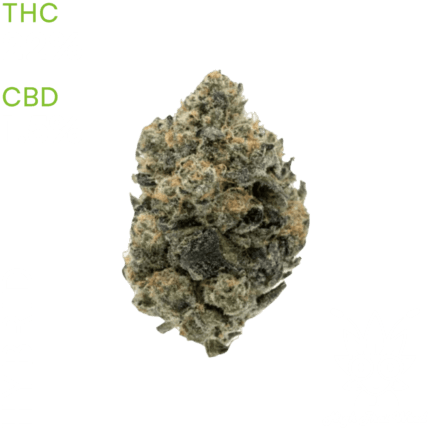 buy Girl Scout Cookies weed in bangkok