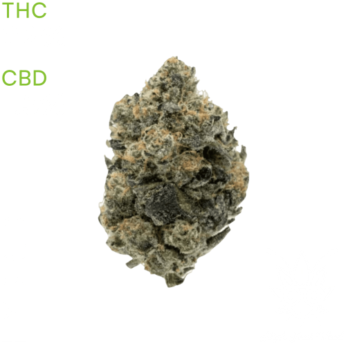 buy Girl Scout Cookies weed in bangkok