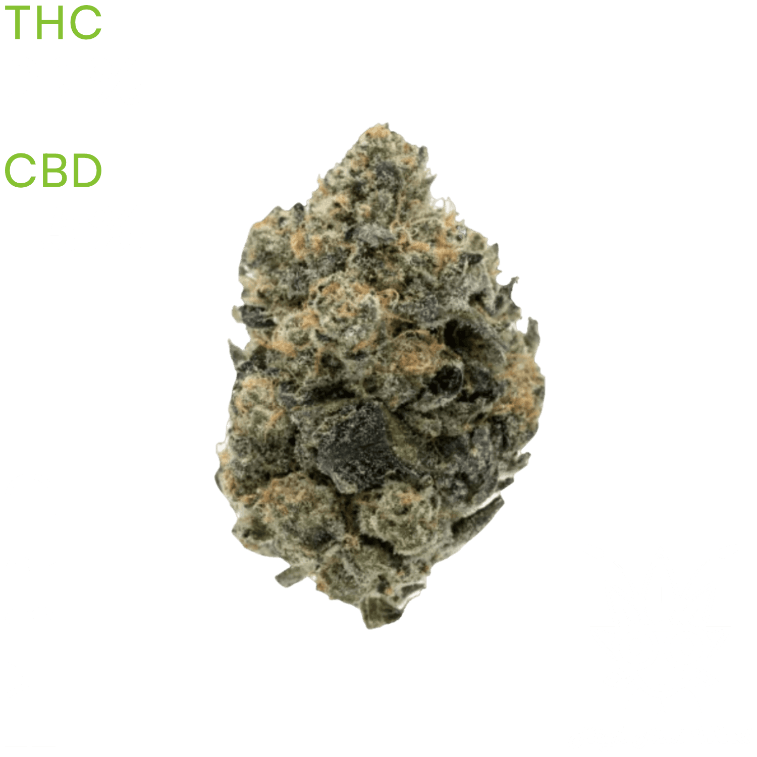 girl-scout-cookies-cannabis-dispensary-online-fast-thaiweed