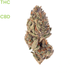 buy Sluricane Cookies weed in thailand