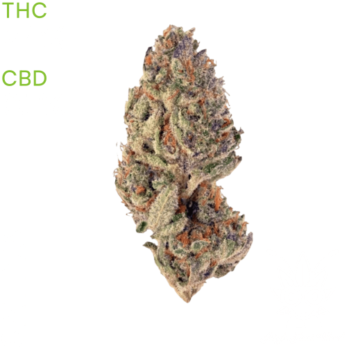 buy Sluricane Cookies weed in thailand