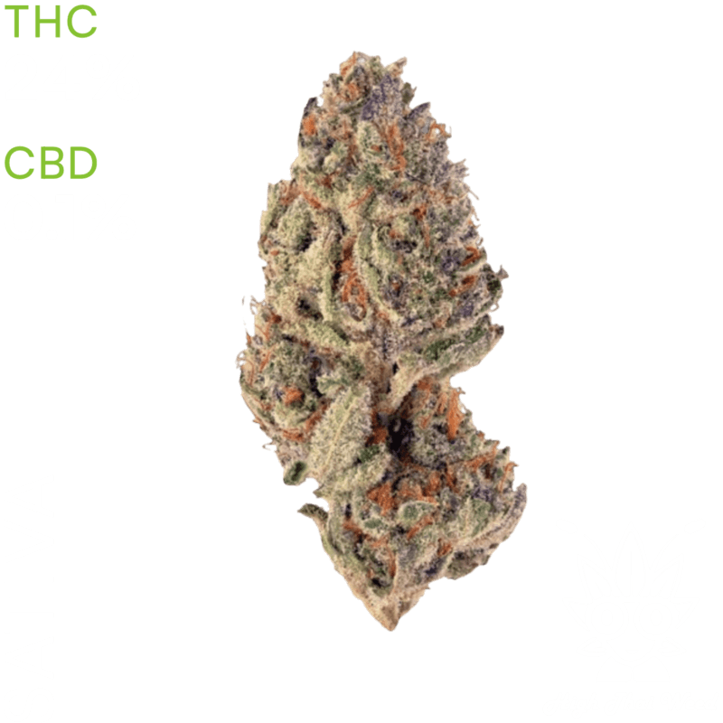 Sluricane Cannabis Dispensary Online Fast Thai Weed sluricane-cannabis-dispensary-online-fast-thai-weed