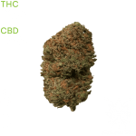 buy Wedding Cake weed in bangkok