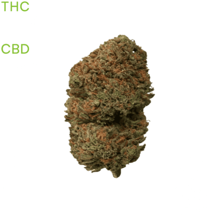 buy Wedding Cake weed in bangkok