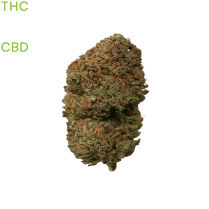 buy Wedding Cake weed in bangkok