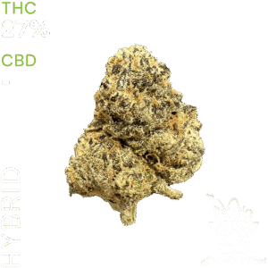 buy White Runtz weed in thailand