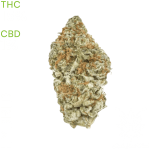 buy White Widow Cookies weed in bangkok
