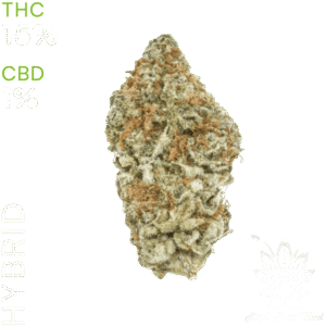 buy White Widow Cookies weed in bangkok